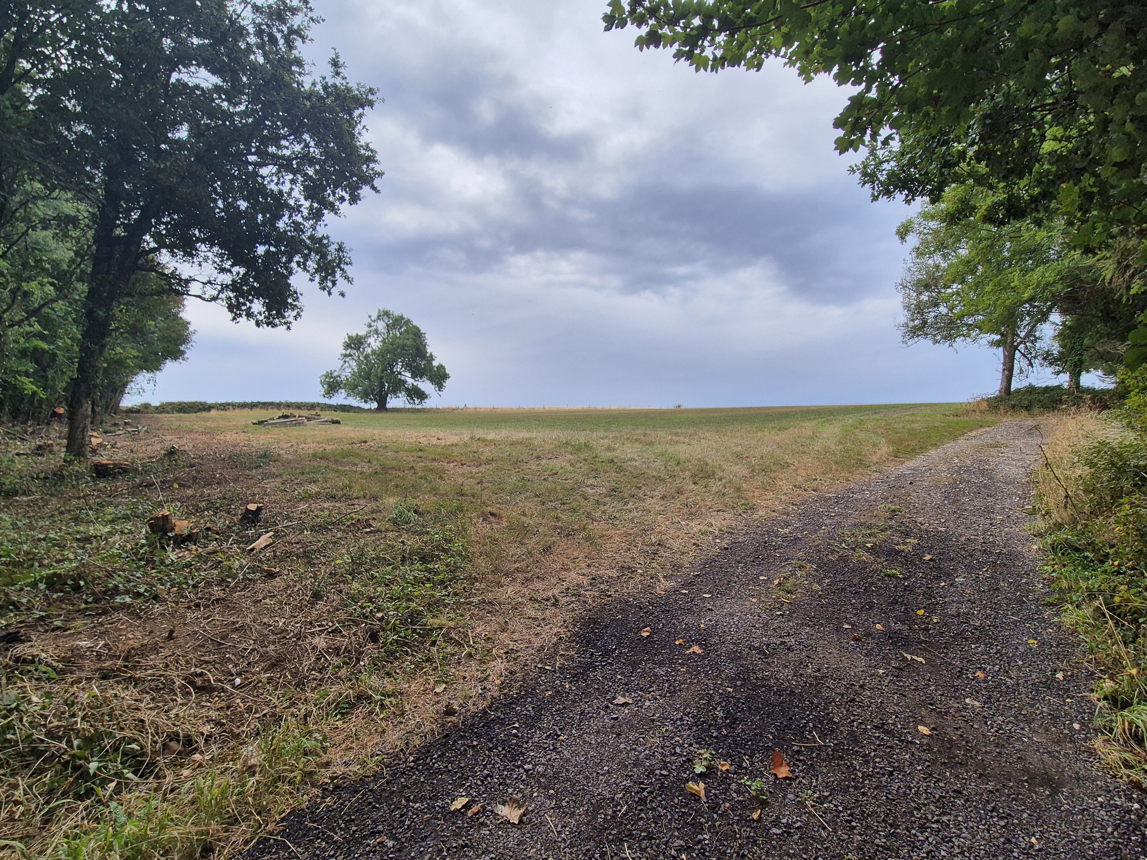 Littlewood Lodge - Landscape