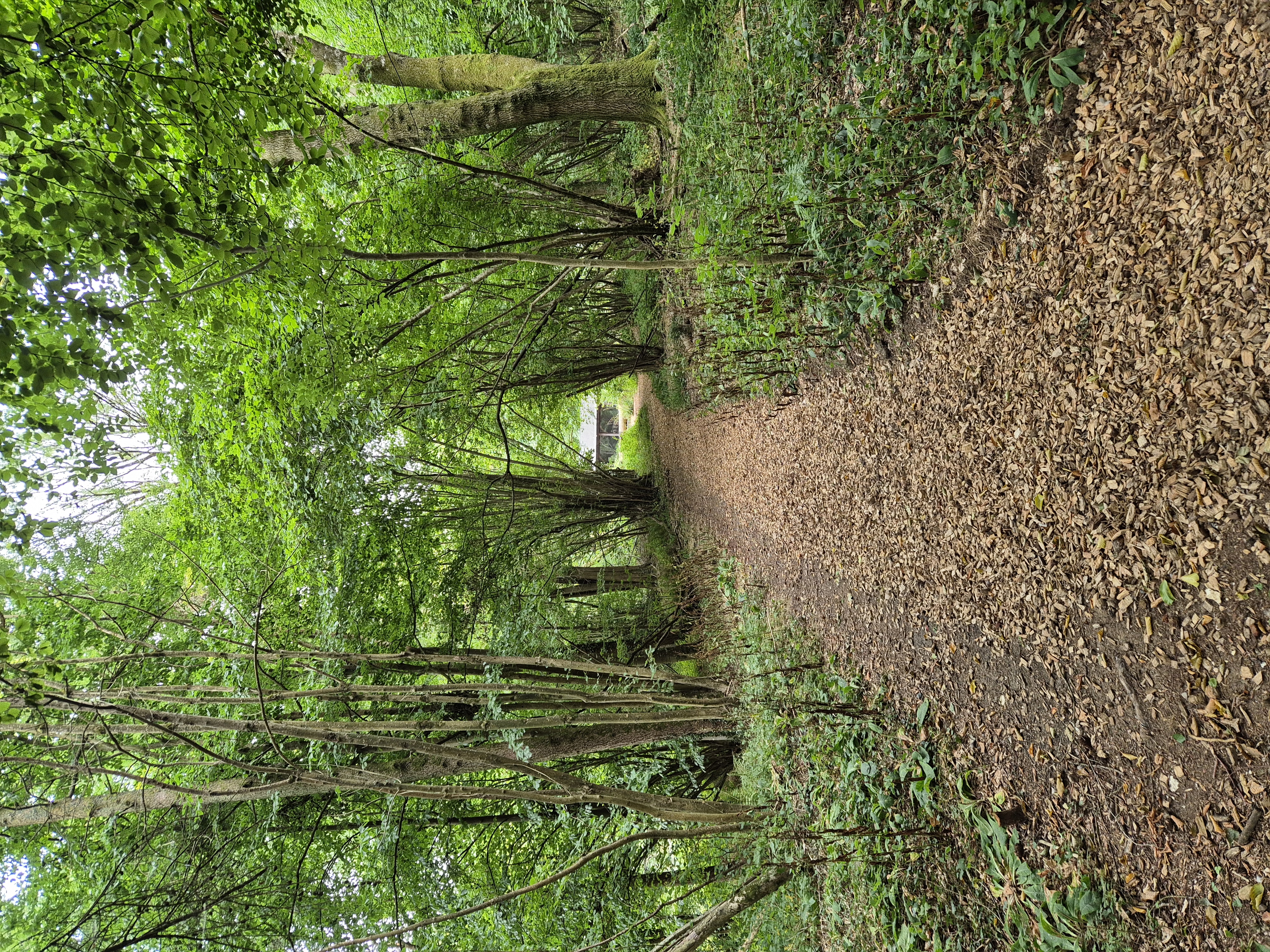 Littlewood Lodge - Walkway
