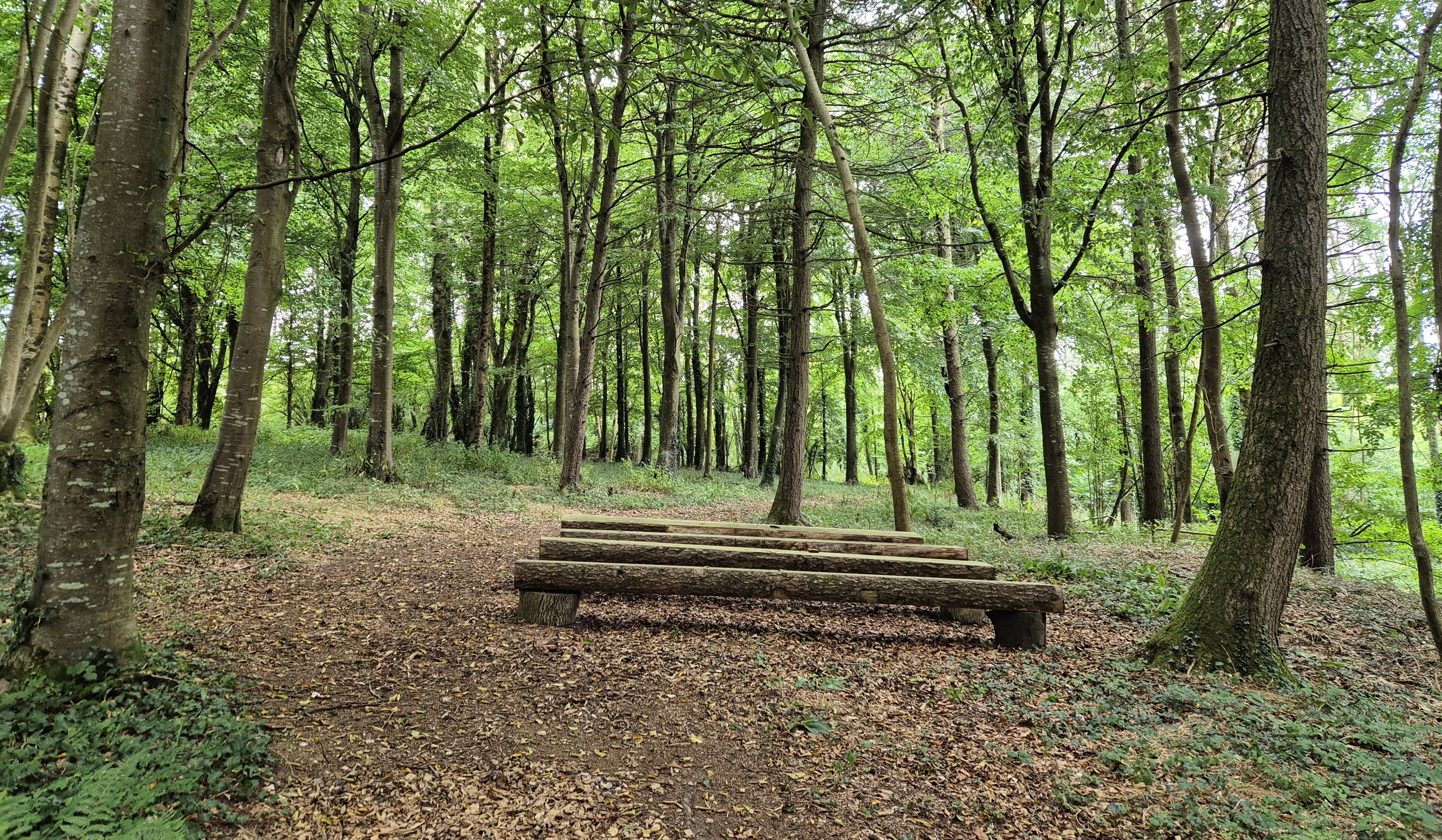 Littlewood Lodge - Ceremony Seating Area