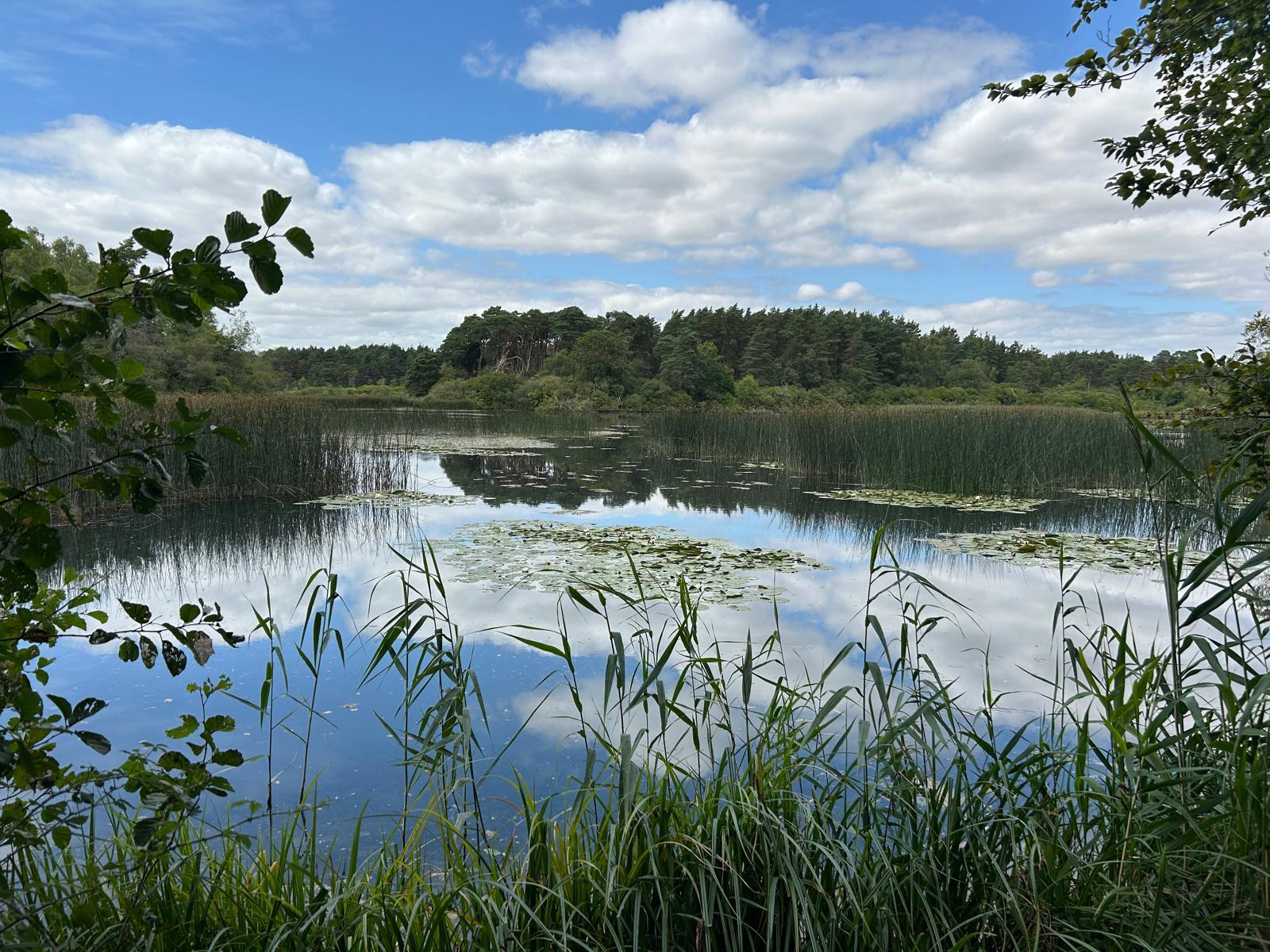 Morden Lake - Lakeside Ceremony Area 