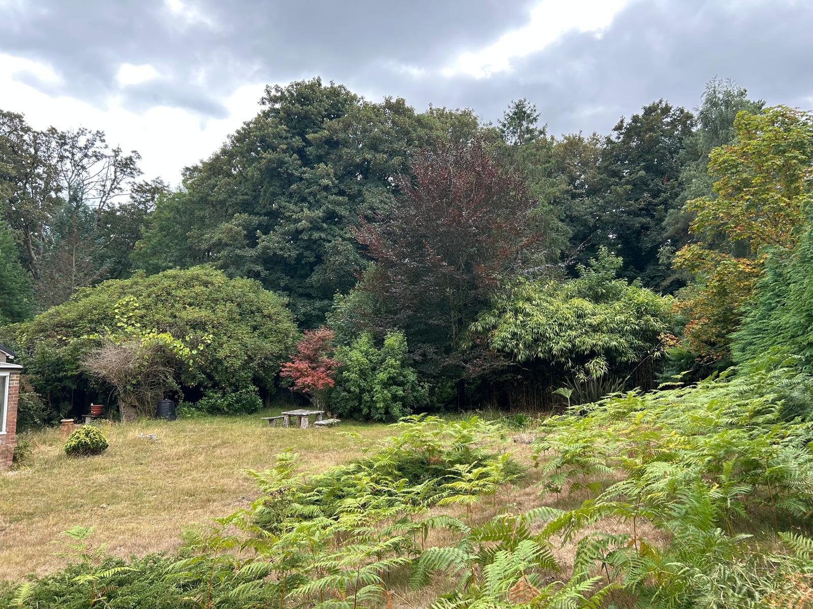 Morden Lake - Lodge Grounds