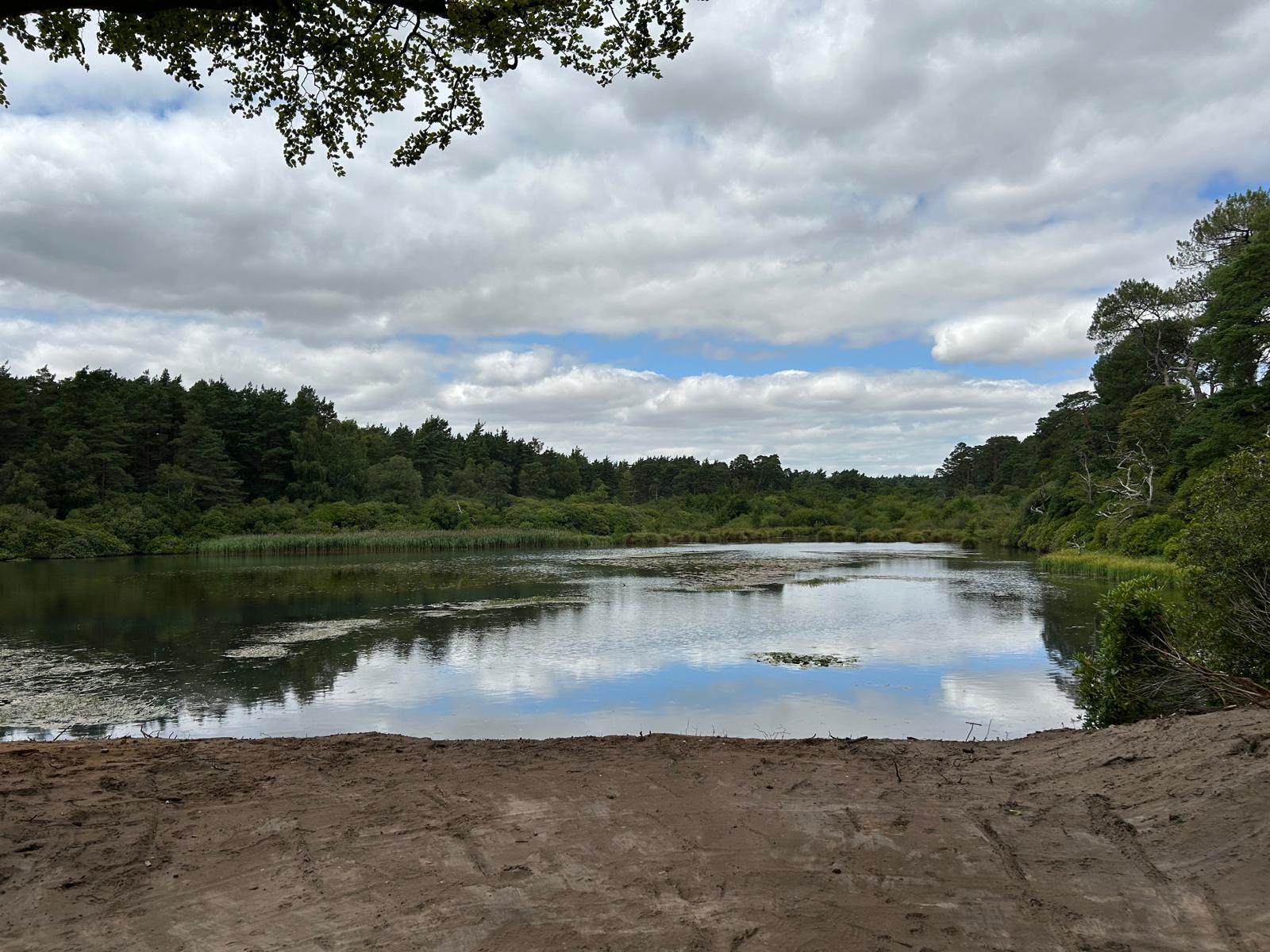 Morden Lake - View across the lake 2 