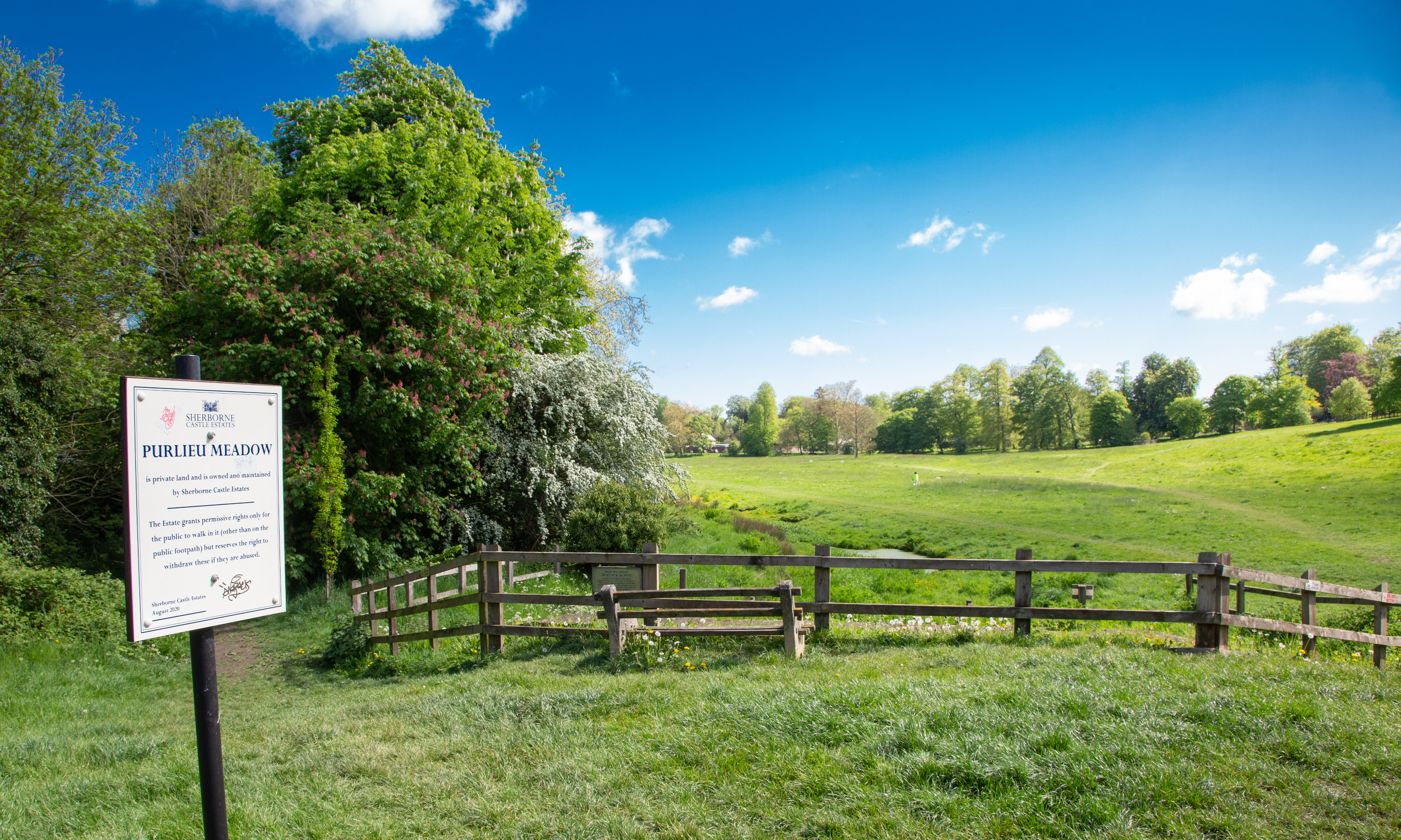 Purlieu Meadow in Sherborne - part of the orienteering course