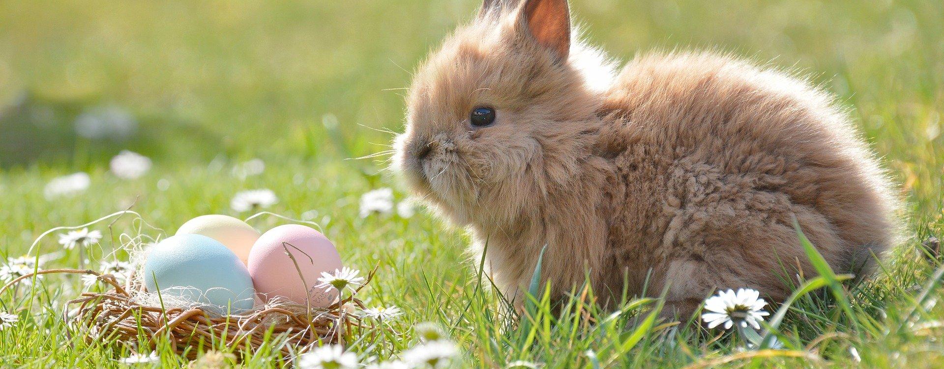easter-g7c4dd3322_1920.jpg