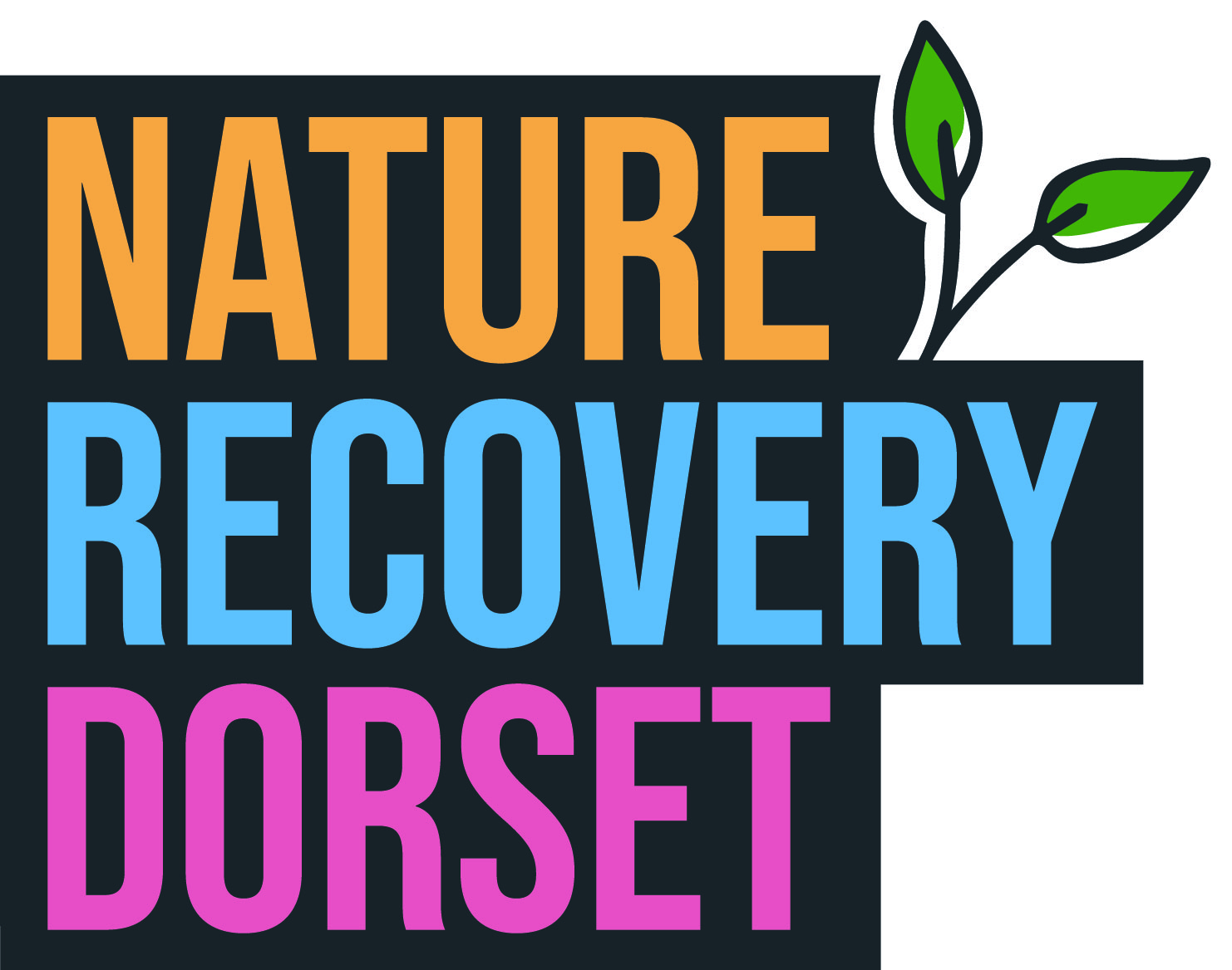 Nature recovery dorset logo