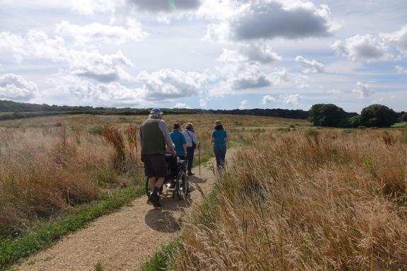 A group of people taking a path through an open space on a sunny day